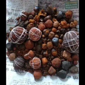 Home Good Price Ox Gallstone